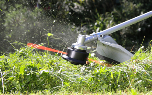 Ordinanza del Sindaco N. 3/2025 TAGLIO DI SIEPI E RAMI SPORGENTI SULLE STRADE, PULIZIA E MANUTENZIONE DELLE AREE CORTILIVE, DEI CANALI STRADALI DI SCOLO, QUALE MISURA DI SICUREZZA, IGIENE E INCOLUMITA' PUBBLICA - 2025